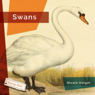 Title: Swans, Author: Nicole Helget