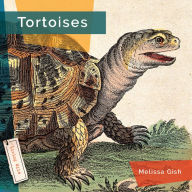 Title: Tortoises, Author: Melissa Gish