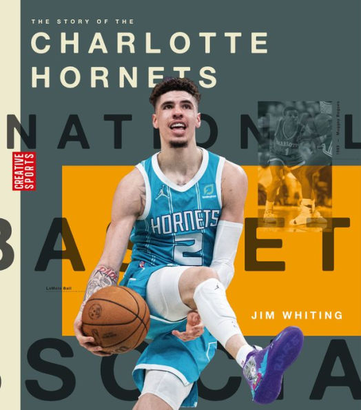 the Story of Charlotte Hornets