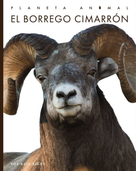 El borrego cimarron