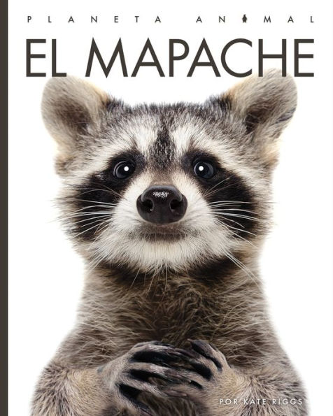 El mapache