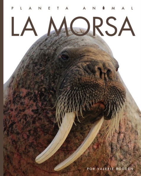 La morsa