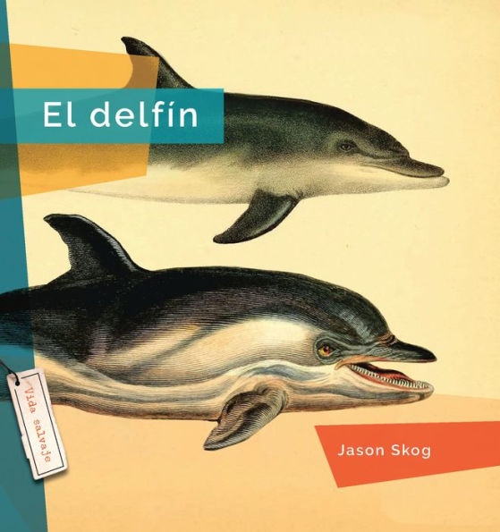 El delfin