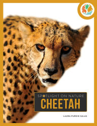 Title: Cheetah, Author: Laura Salas