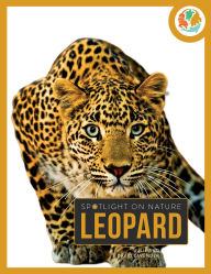 Title: Leopard, Author: Julie and David Lavender