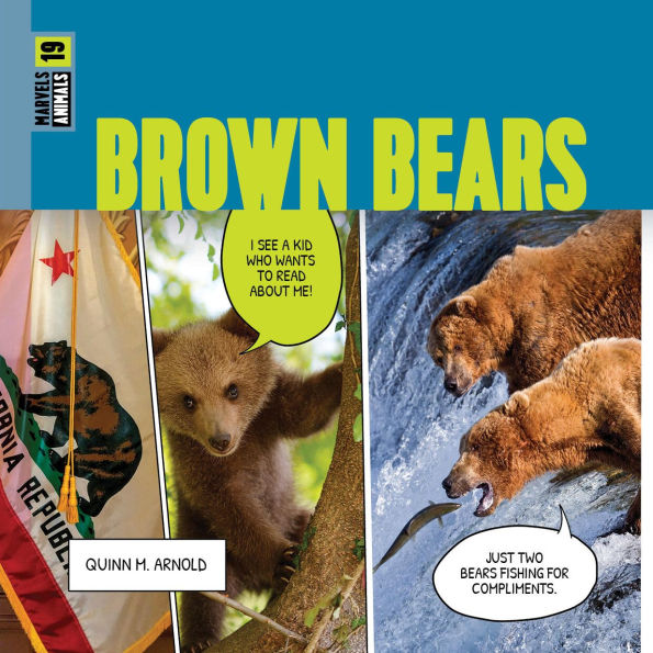 Brown Bears
