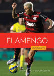Alternative view 1 of Flamengo