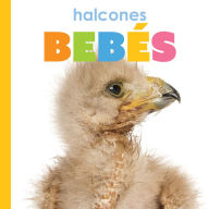 Title: Halcones bebes, Author: Meg Greve