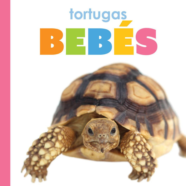 Tortugas bebes