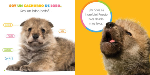 Lobos bebes