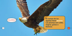 Alternative view 2 of Las aguilas