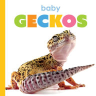 Free german audiobook download Baby Geckos by Kim Thompson 9798889897477 PDB RTF English version