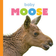 Title: Baby Moose, Author: Kim Thompson