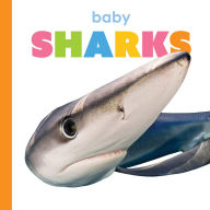 Title: Baby Sharks, Author: Kim Thompson