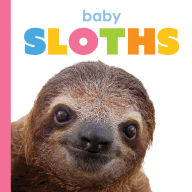 Title: Baby Sloths, Author: Kim Thompson