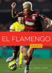 Alternative view 1 of El Flamengo