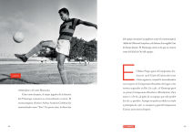 Alternative view 2 of El Flamengo