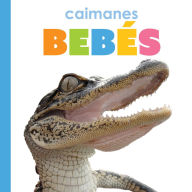 Title: Caimanes bebes, Author: Kim Thompson