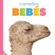 Title: Camellos bebes, Author: Kim Thompson