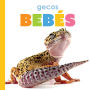 Gecos bebes