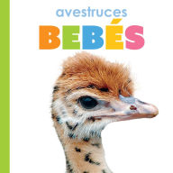 Title: Avestruces bebes, Author: Kim Thompson