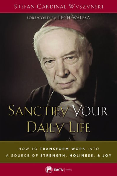 Sanctify Your Daily Life: How to Transform Work Into a Source of Strength, Holiness, and Joy