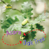 Title: Acorn to Oak Tree, Author: Camilla de la Bedoyere