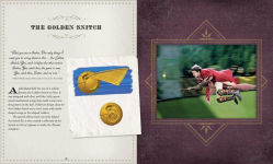 Alternative view 5 of IncrediBuilds: Harry Potter: Quidditch Deluxe Book and Model Set