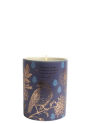 Jane Austen: Indulge Your Imagination Scented Candle (8.5 oz.)