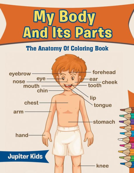 My Body And Its Parts: The Anatomy Of Coloring Book