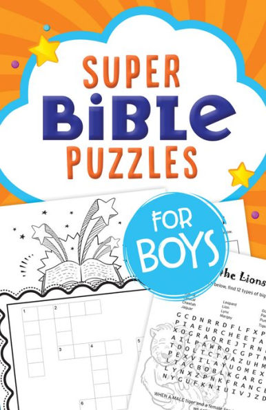 Super Bible Puzzles for Boys