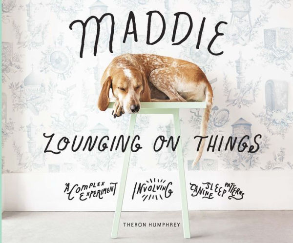 Maddie Lounging On Things: A Complex Experiment Involving Canine Sleep Patterns