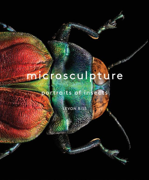 Microsculpture: Portraits of Insects