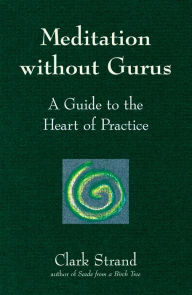 Title: Meditation without Gurus: Meditation without Gurus, Author: Clark Strand