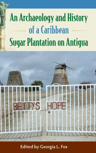 An Archaeology and History of a Caribbean Sugar Plantation on Antigua