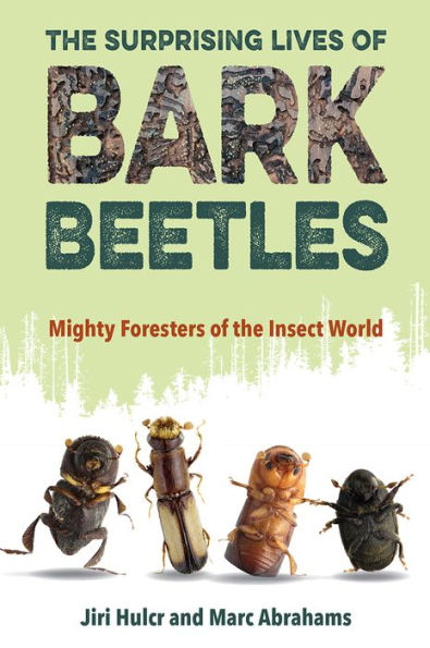 the Surprising Lives of Bark Beetles: Mighty Foresters Insect World