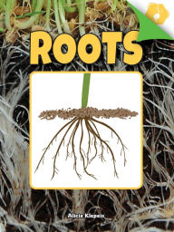 Title: Roots, Author: Alicia Klepeis