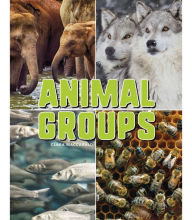 Title: Animal Groups, Author: Jacqueline Boyle