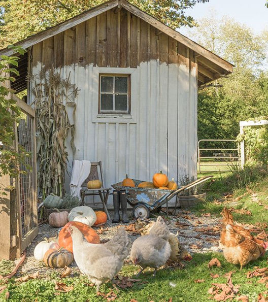 Little Farmstead Living: Creating a Country Life Just Past the City Limits