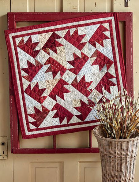 A Country's Call: Civil War Quilts and Stories of Unsung Heroines