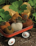 Alternative view 15 of Buttermilk Basin's Pick of the Crop: 18 Cotton and Wool Projects That Feel Like Fall