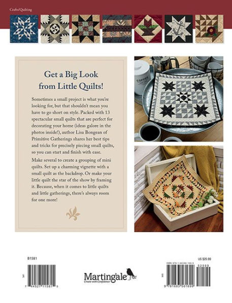 Little Gatherings: Small Quilts with Spectacular Style