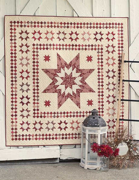 Red & White Quilts II: 14 Quilts with Everlasting Appeal
