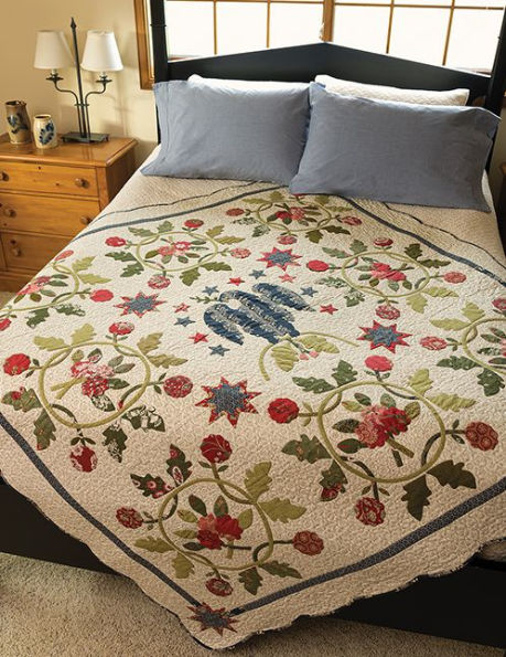 Plain & Fancy Quilts: 12 Patterns for Cozy Patchwork and Beautiful Applique