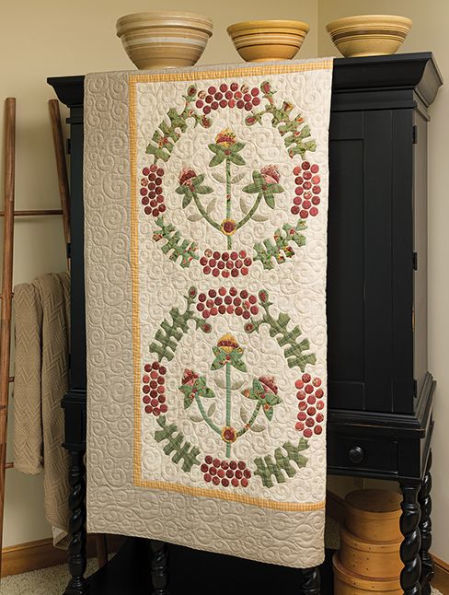 Plain & Fancy Quilts: 12 Patterns for Cozy Patchwork and Beautiful Applique