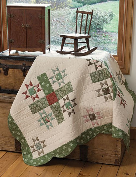 Plain & Fancy Quilts: 12 Patterns for Cozy Patchwork and Beautiful Applique