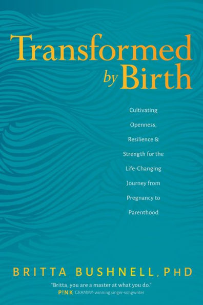 Transformed by Birth: Cultivating Openness, Resilience, and Strength for the Life-Changing Journey from Pregnancy to Parenthood