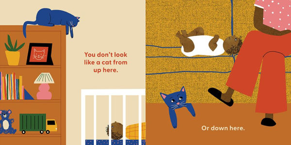 Cat's First Baby: A Board Book