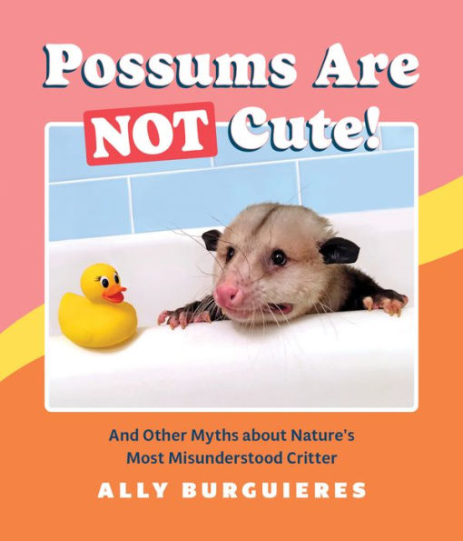 Possums Are Not Cute!: And Other Myths about Nature's Most Misunderstood Critter