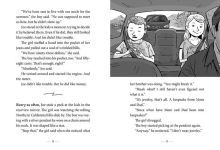 Alternative view 7 of Nick and Tesla and the High-Voltage Danger Lab: A Mystery with Gadgets You Can Build Yourself